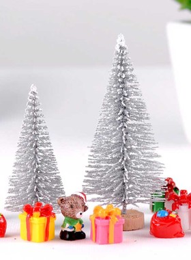 盆栽植物生态瓶可爱风摄影圣诞树