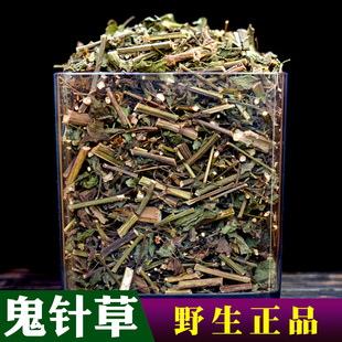 广西野生鬼针草中药材新鲜晒干鬼针草茶新货中药白花虾钳草正品