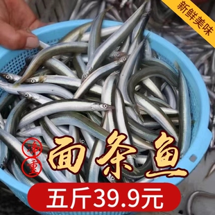 新鲜小青鱼面条鱼本地玉筋鱼野生海捕小银鱼冷冻水产香煎油炸