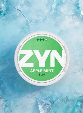 5送1 SNUS口含唇袋velo snus zyn解瘾提神高铁fox蹦迪pablo水果味