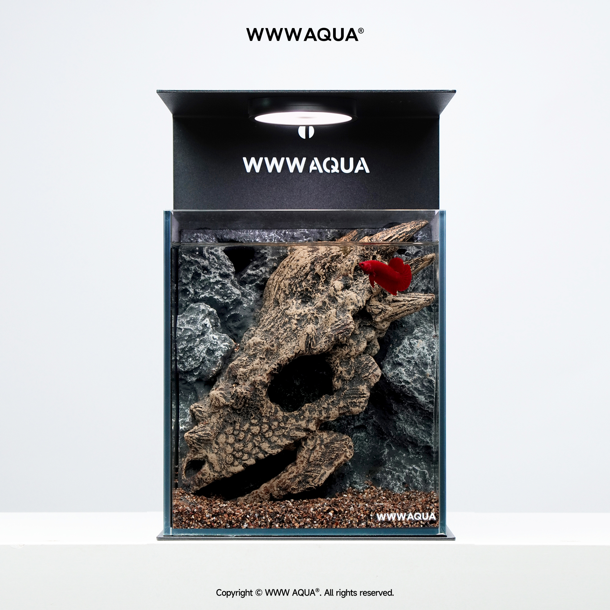 K11 WWWAQUA古化石系列肿头龙造景玻璃缸自循环生态缸