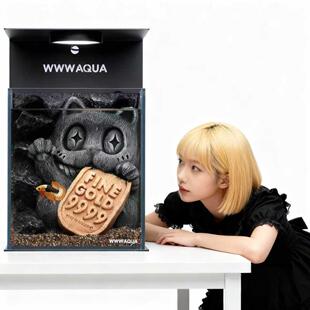 K11 WWWAQUA来财招财猫家居玄关摆件斗鱼专用鱼缸造景生态全套