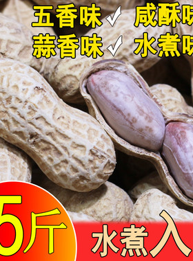 正宗龙岩花生带壳水煮白晒咸干蒜香五香湿烤盐水炒货小零食熟批发
