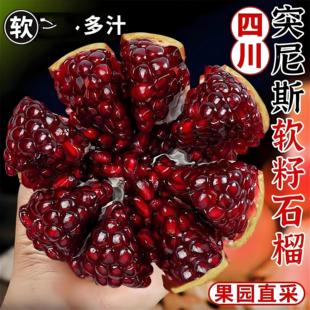会理突尼斯软籽石榴10斤新鲜水果当季整箱四川无籽石榴特大果包邮