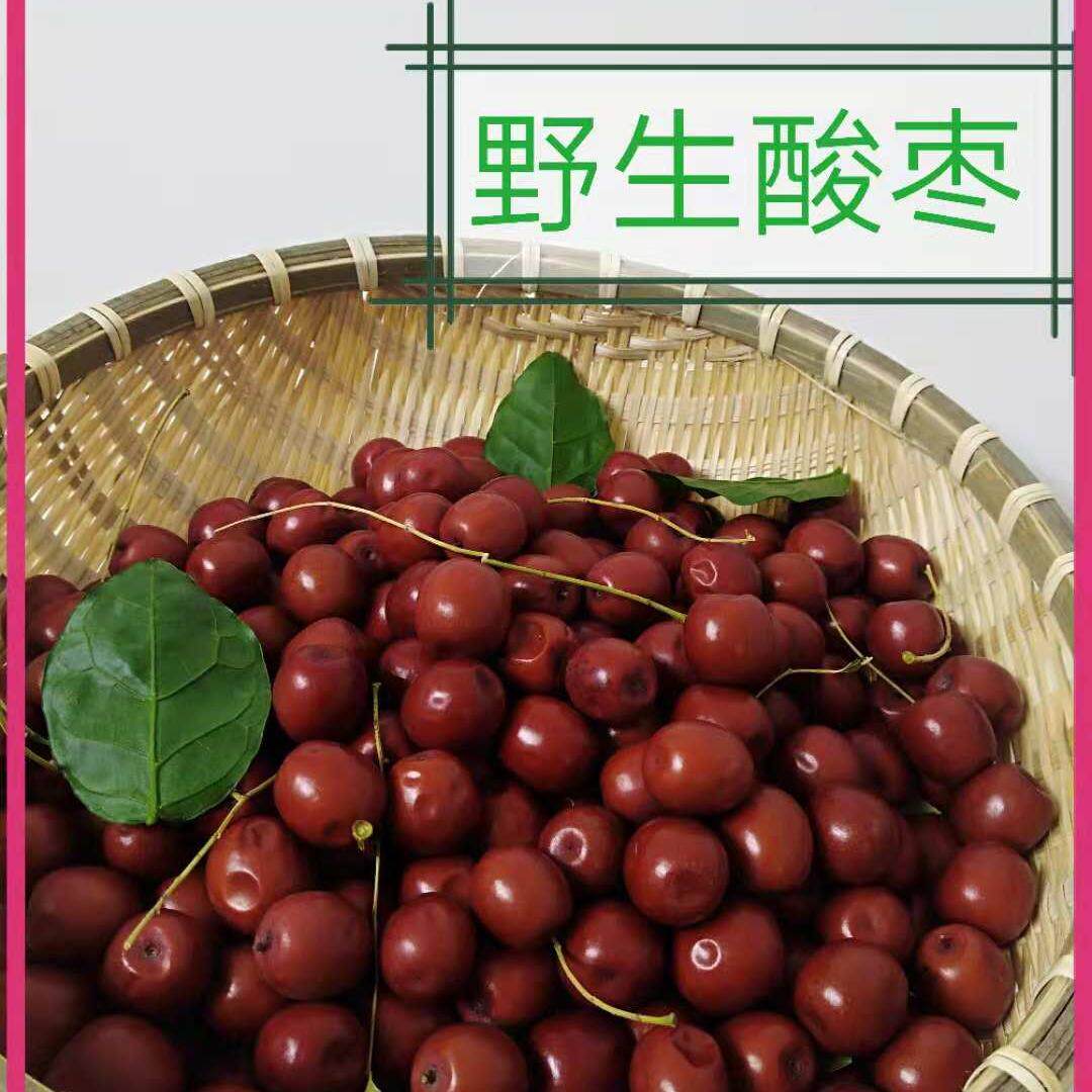东北特产朝阳大酸枣纯野生山枣孕妇应季零食泡酒泡水红枣2斤包邮