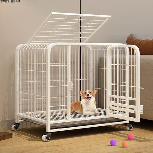 宠物中型大型犬家用室内