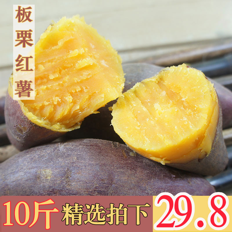 券后33.80元陕西板栗红薯新鲜现挖番薯地瓜农家自种天目山小红薯香薯10斤蜜薯