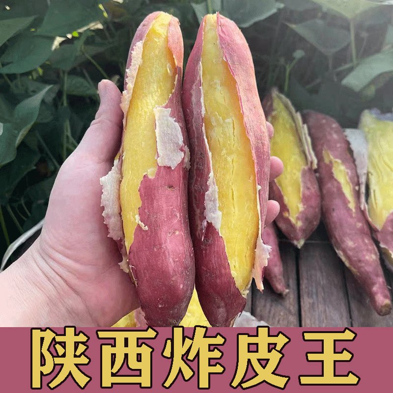 板栗新鲜红薯陕西农家自种番薯沙地地瓜糖心蜜薯爆皮面甜烤山芋