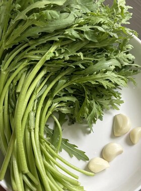 茼蒿大小叶茼蒿皇帝菜大叶茼蒿新鲜当季易种植冬天菜苗秧苗