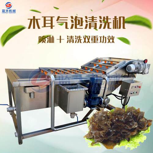 商用木耳气泡清洗机 黑木耳清洗机 多功能自动木耳清洗设备生产商