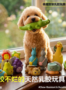中小型犬乳胶耐咬洁齿发声玩具