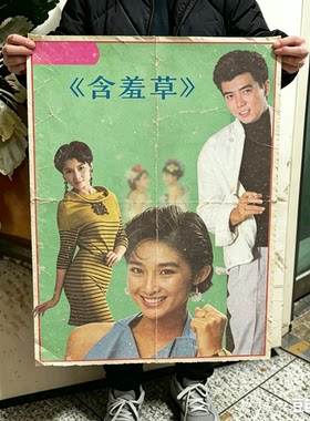 1987经典怀旧中国台湾绝版言情电视剧《含羞草》原完整全剧连续剧