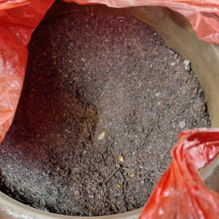生锈粉碎 粉状零件自然生锈铁锈铁片铁锈铁钉1份1斤