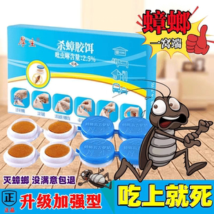 灭蟑螂神器出租屋家用无毒一窝端蟑螂克星方便贴 强效蟑螂药加强版