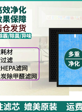 适配福里斯特 康风雅尔空气净化器滤网KJ520F-H01 KJ800滤芯除醛