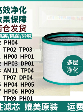 适配戴森Dyson空气净化器滤芯DP/HP/TP00/BP01/02/03风扇滤网AM11