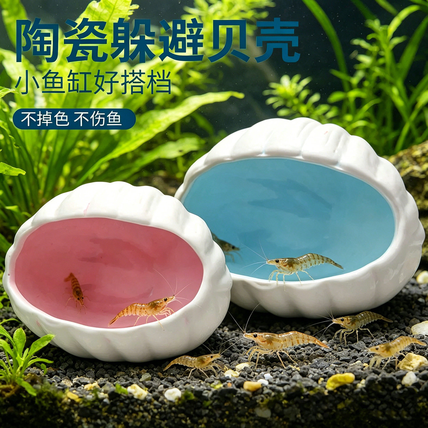 鱼缸贝壳造景屋新款宠物躲避屋可爱金鱼鱼虾繁殖窝个性陶瓷窝