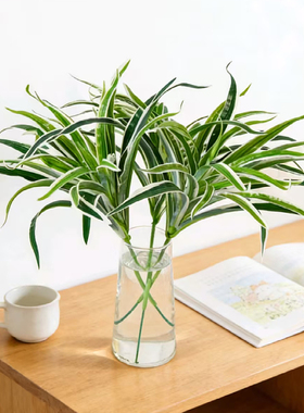 高品质仿真绿植散尾葵塑料插花树枝绿植造景植物盆栽批发单枝花