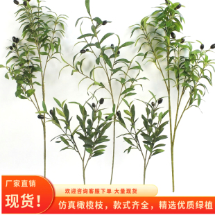 仿真绿植橄榄枝带果橄榄枝假树枝婚庆家居摄影道具插花材装饰摆件