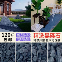 黑石子庭院造景黑砾石灰色石头水洗石园林铺路园艺天然黑色鹅卵石