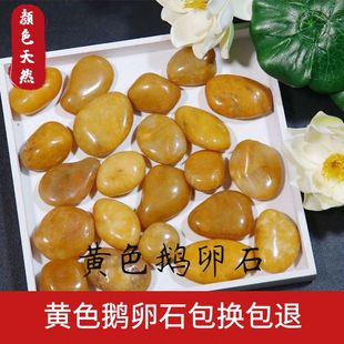 黄色鹅卵石天然鱼缸底砂造景石头庭院花盆铺地软石子精品雨花石