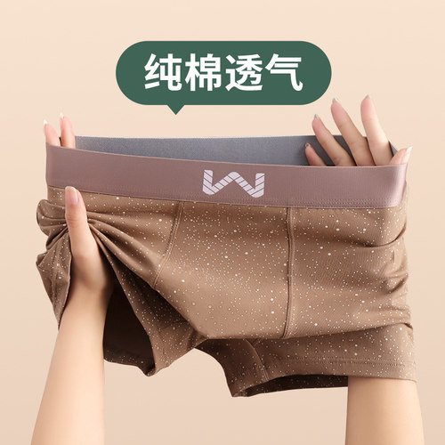 仟雅仙子男士内裤纯棉透气平角裤