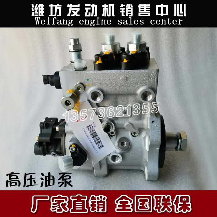 博士喷油泵612640080039高压油泵潍柴wp12电喷wp13柴油发动机wp9h