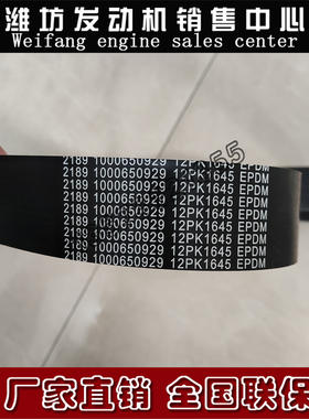 潍柴博杜安6M33柴油发动机12M26皮带1002602213多楔带15PK1270