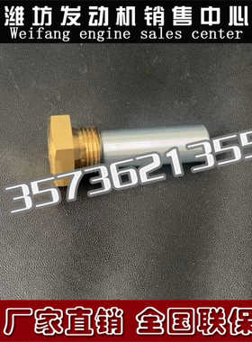 锌棒螺塞15031750J潍柴WP13F船用6M26博杜安6170潍坊8170船舶WH17