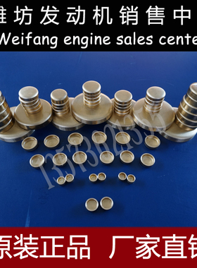 潍柴WD615 WP10 WD10 WP12柴油发动机原厂全车水堵 堵头 整车铜堵