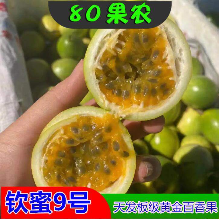 钦蜜9号黄金百香果苗嫁接苗扦插苗实生苗西番莲嫁接百香果藤蔓