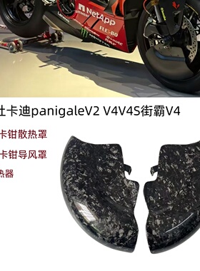 适用杜卡迪panigaleV2 V4V4S街霸V4改装散热器  刹车盘卡钳导风罩