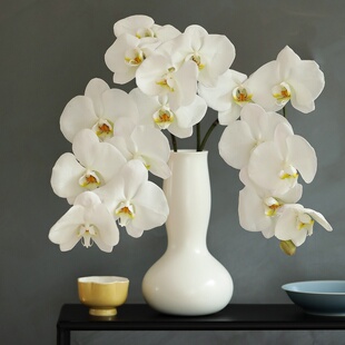 待云 高温葫芦瓶日常新中式简约花插家居摆件花器花瓶 闲趣别院