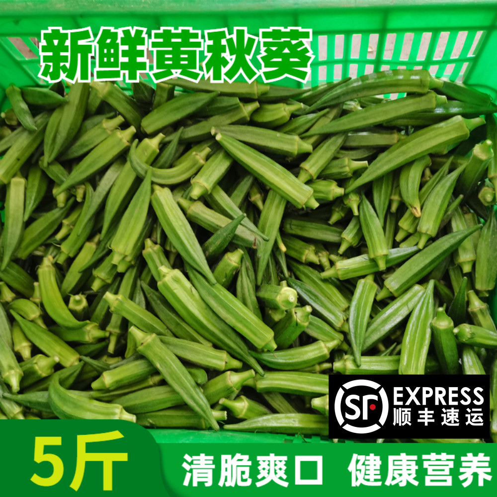 顺丰包邮精选露天秋葵新鲜农家蔬菜水果黄秋葵六角羊角豆当季采摘
