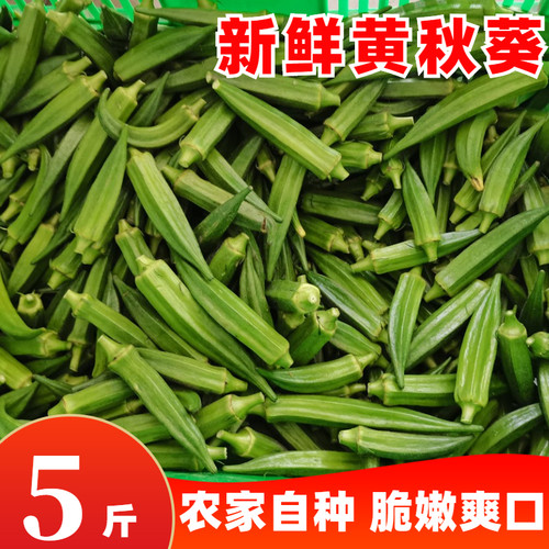 现摘露天豆角当季特产包邮黄秋葵