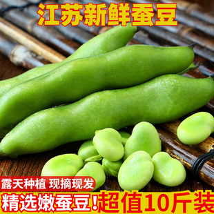 时令鲜蚕豆现摘 当季 包邮 蚕豆新鲜蔬菜农家自种带壳嫩胡豆5斤装