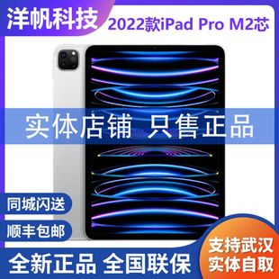 Pro Apple 12.9全面屏M2平板 11英寸iPad Pro全新2022款 苹果 iPad