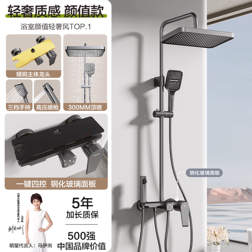 四季沐歌卫浴枪灰黄铜淋浴花洒