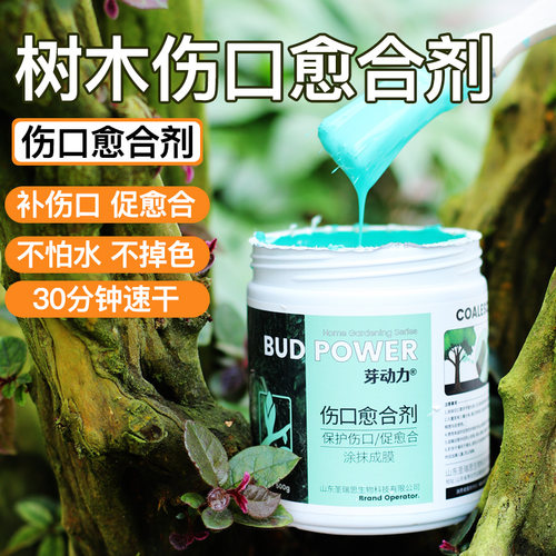 植物伤口愈合剂苗木嫁盆景封口胶