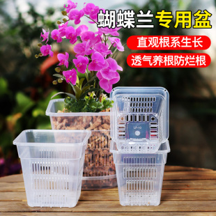 兰花盆栽方盆加厚透气塑料花盆控根盆蝴蝶兰定植篮洋兰绿萝水培篮