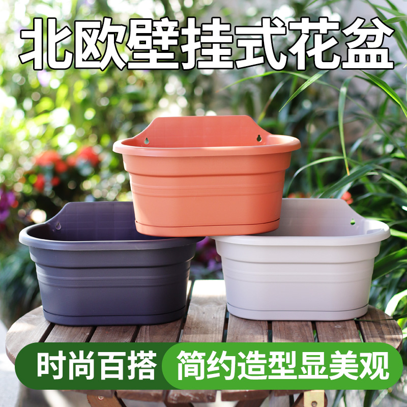 环球树脂矮牵牛送托盘p510种植盆