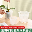 透明青山盆花盆控根塑料小大号兰花蝴蝶兰专用家用透气树脂透气盆