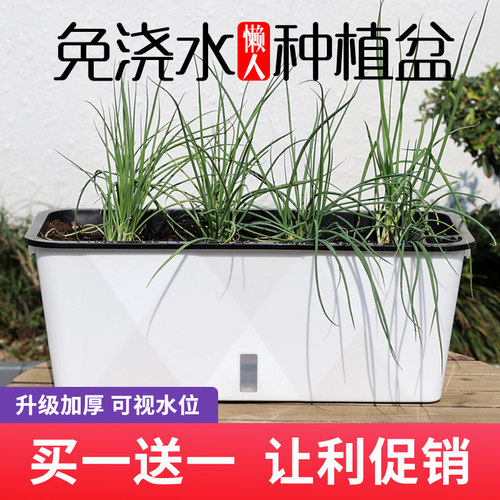 长方懒人盆加厚树脂坚实耐用