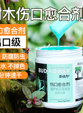 植物树木果树伤口愈合剂盆景树枝剪枝树桩树皮嫁接切口修复涂抹膏