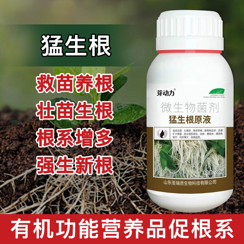 猛生根原液强力生根壮苗促生发根