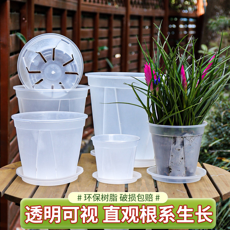 透明透气加厚塑料树脂蝴蝶兰兰花海芋专用花盆青山控根盆2024新款,鲜花速递/花卉仿真/绿植园艺,花盆,淘宝优惠券,粉丝福利购,淘宝优惠卷