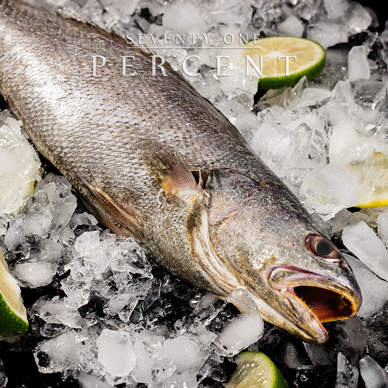 71%海鲜舟山野生海钓鮸鱼新鲜深海鱼非冰冻米鱼水产1条1.5-2斤