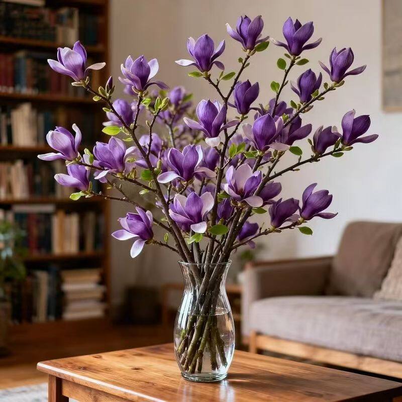 水培玉兰花鲜切枝带花苞腊梅干枝红梅鲜花卉室内好养四季开花植物