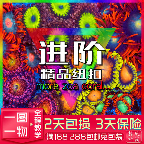 正蓝峰纽扣艾伦之眼混沌果汁纽扣