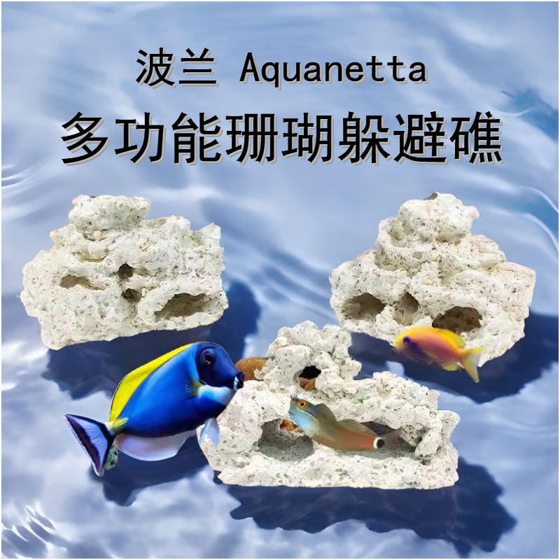珊瑚躲避礁海水鱼吊类养定开口